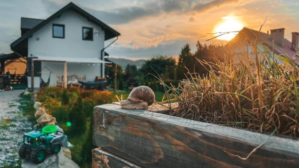 Magiczny Przystanek Appartement Myczków Buitenkant foto